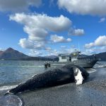 A34E9633-A999-4484-8030-C8765FF35DF4