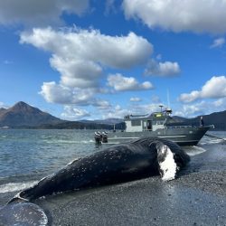 A34E9633-A999-4484-8030-C8765FF35DF4