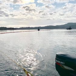 C3BB286B-C6DE-4F49-91F7-72AC527A15A6